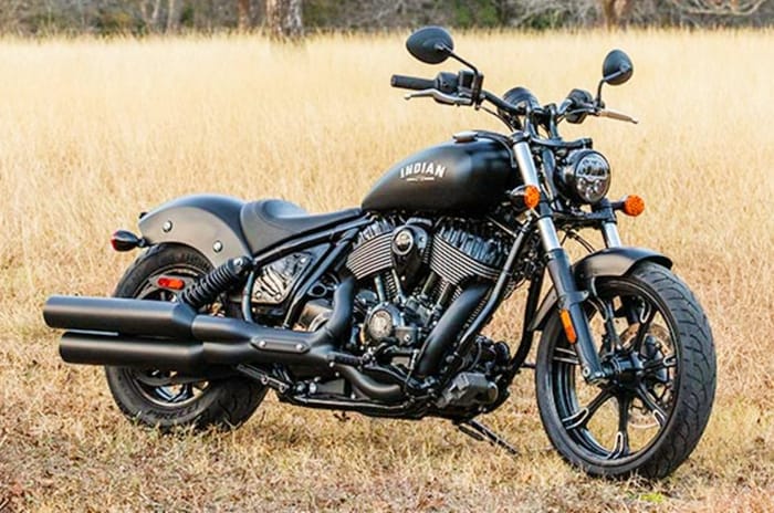 Indian Chief front right static in field